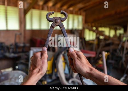 Antike Zange, altes altes Werkzeug Stockfoto