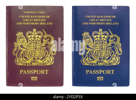 Der alte Burgund British Passport und der neue Blaue Pass, der nach dem Brexit eingeführt wurde, isoliert auf Weißem Hintergrund Stockfoto