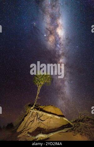 Die Milchstraßengalaxie scheint hell über dem trockenen Australien Stockfoto