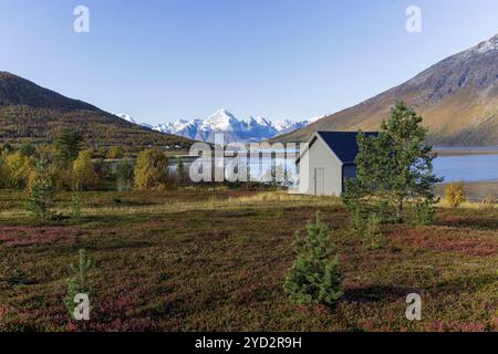 Schneebedeckte Berge am Lyngen Fjord, September 2024, Norwegen, Europa Stockfoto