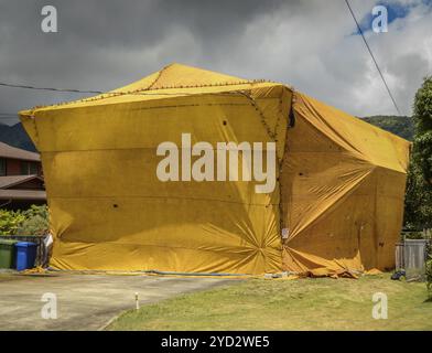 Wohnhaus, die "hat" Tented wurde um Schädlinge wie Termiten zu vernichten Stockfoto