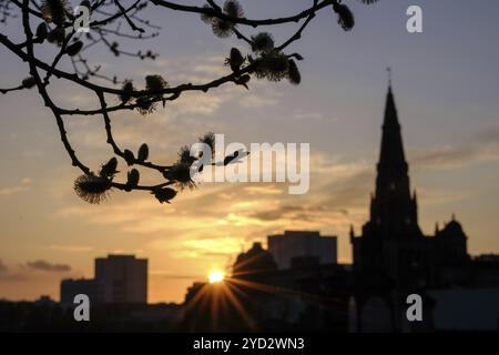 Glasgow Cathedral Von Der Necropolis Bei Sonnenuntergang Aus Gesehen, Mit Fokus Auf Ästen Im Vordergrund Stockfoto