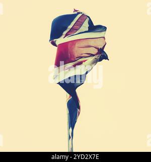 Symbolische Retro-gefiltertes Bild einer schäbigen britischen Union Jack Flagge Stockfoto