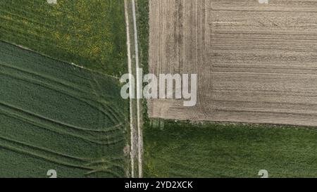 Ein Feldweg trennt verschiedene landwirtschaftliche Flächen, interessantes Muster aus der Vogelperspektive, Drohnenbild, Niederbayern, Bayern, Deutschland, Europa Stockfoto