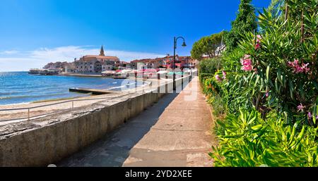 Stadt Umag am Wasser und Küste Panoramablick, Touristenziel in Istrien, Kroatien Stockfoto