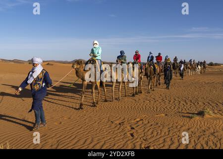 Merzouga, Marokko, 9. März 2024: Berberführer, der eine Touristengruppe auf einer Dromedarwanderung in die Sahara in Marokko, Afrika, führt Stockfoto