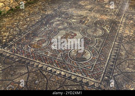 Volubilis, Marokko, 3. März 2024: Detailansicht der komplexen Bodenmosaiken in den römischen Ruinen von Volubilis im Norden Marokkos bei Meknes, AF Stockfoto