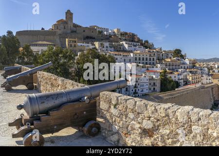 Ibiza, Spanien, 1. Februar 2024: Altstadt von Ibiza mit Burg und Kathedrale und den Sankt Lucia mit Kanonen im Vordergrund, Europa Stockfoto