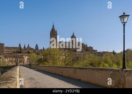 Salamanca, Spanien, 9. April 2024: Blick über die alte Römische Brücke in Salamanca auf die Kathedrale, die die Skyline der Stadt in Europa dominiert Stockfoto