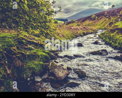 Bild im Retro-Stil Eines schnell fließenden Flusses durch die wilde Landschaft an den Grenzen Schottlands, Großbritannien Stockfoto