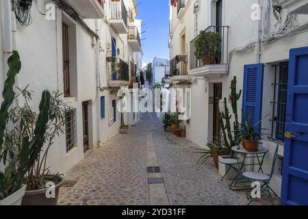 Ibiza, Spanien, 1. Februar 2024: Malerische Stadtstraße in der historischen Altstadt von Eivissa in Dalt Vila auf Ibiza, Europa Stockfoto