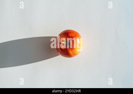 Roter Apfel, der einen Schatten vor weißem Hintergrund bildet Stockfoto