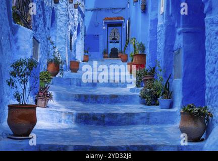 Chefchaouen, Marokko, 2. März 2024: Treppen mit Topfpflanzen führen zu einer Haustür in der blauen Stadt Chefchaouen, Afrika Stockfoto