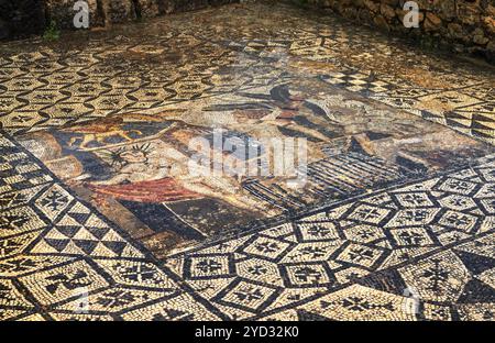 Volubilis, Marokko, 3. März 2024: Detailansicht der komplexen Bodenmosaiken in den römischen Ruinen von Volubilis im Norden Marokkos bei Meknes, AF Stockfoto