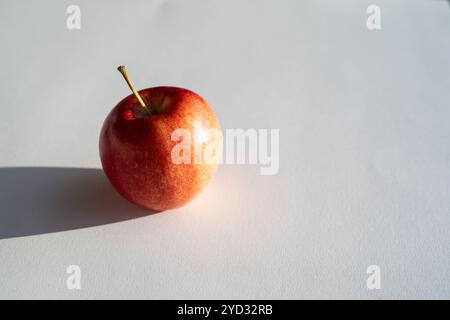 Roter Apfel, der einen Schatten vor weißem Hintergrund bildet Stockfoto