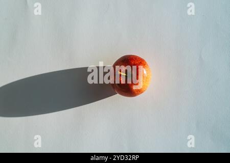 Roter Apfel, der einen Schatten vor weißem Hintergrund bildet Stockfoto