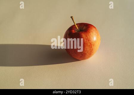 Roter Apfel, der einen Schatten vor weißem Hintergrund bildet Stockfoto