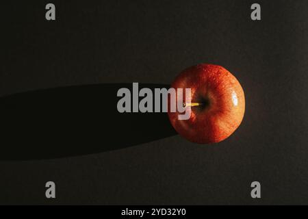 Roter Apfel, der einen Schatten vor schwarzer Umrandung bildet Stockfoto