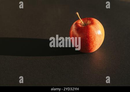Roter Apfel, der einen Schatten vor schwarzer Umrandung bildet Stockfoto