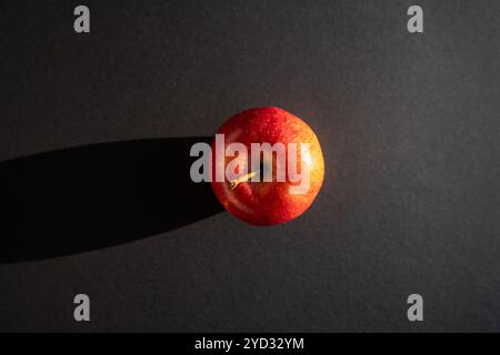Roter Apfel, der einen Schatten vor schwarzer Umrandung bildet Stockfoto