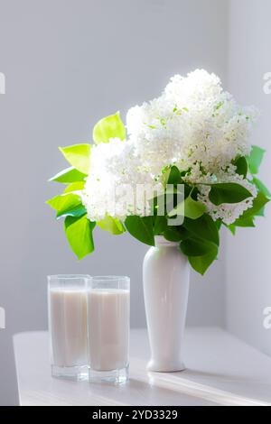 Milch und weißer Flieder. Gläser Milch und weiße Blumen in einer Vase. Kuhmilch. Trinken. Erinnerungen aus der Kindheit. Artikel über die Vorteile von Milch. Stockfoto