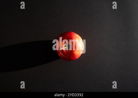 Roter Apfel, der einen Schatten vor schwarzer Umrandung bildet Stockfoto