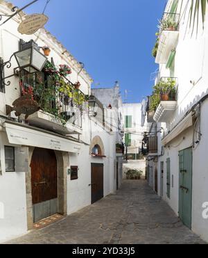 Ibiza, Spanien, 1. Februar 2024: Malerische Stadtstraße in der historischen Altstadt von Eivissa in Dalt Vila auf Ibiza, Europa Stockfoto