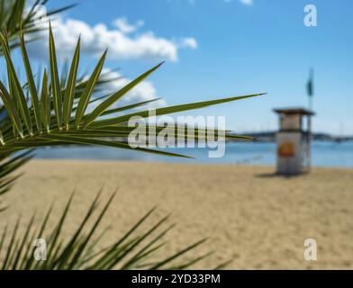 Ein Lifeguard Station Tower an EINEM Strand in Kalifornien, mit Palmenzweigen im Vordergrund Stockfoto