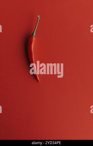 Chili-Paprika perfekt gegen rote Backround-Scheiben zusammengesetzt Stockfoto