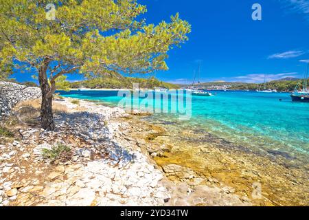 Türkisfarbener Strand auf Pakleni otoci Inseln Touristenziel Stockfoto