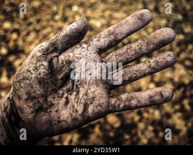 Die schmutzige Hand von einem Landwirt oder Gärtner außerhalb im Herbst Stockfoto