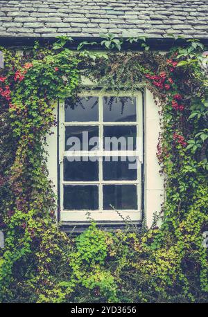 Detail Eines Fensters auf einem alten Cottage in England mit Einem schönen Blumenrand Stockfoto