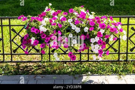 Dekorative Blumen auf dem Zaun an der Stadtstraße Stockfoto