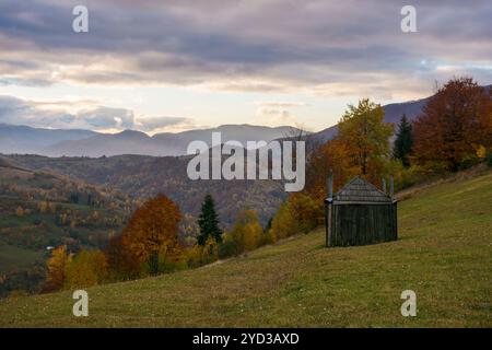 Ländliche Gegend der karpaten im Herbst. Abgelegenes Hochland. Bewölktes Wetter. Bäume in bunten Laub. Landschaft mit Hügeln, die in die Dista hineinragen Stockfoto