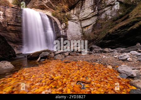 Looking Glass Falls im Herbst - Pisgah National Forest - in der Nähe von Brevard, North Carolina, USA Stockfoto