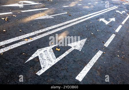 Verkehrsschild weiße Pfeile auf Asphalt Stockfoto