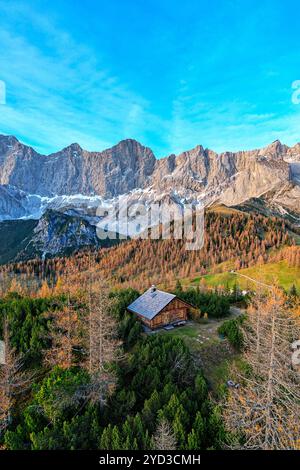 Kleines Ferienhaus auf einem Hügel umgeben von Lärchen in Herbstfarben mit Dacshtein-Massiv hinten, spektakuläre Landschaft, österreich Stockfoto