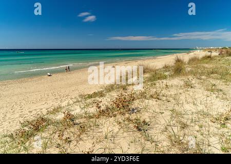 Der Strand Spiaggia di Torre San Giovanni, Marina di Ugento, Apulien, Italien, Europa | der Strand von Torre San Giovanni, Marina di Ugento, Apulien, IT Stockfoto