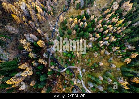 Aus der Vogelperspektive eines Wanderweges, Wanderweg durch wunderschönen Wald in Herbstfarben, Laub auf der Reiteralm bei Schladming, Österreich Stockfoto