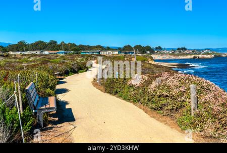 Malerischer Pfad und Bank mit Blick auf den Pazifischen Ozean in der Nähe der University of California, Santa Cruz, USA Stockfoto