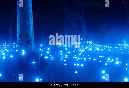 Mailand, Italien. Oktober 2024. Anteprima Light Cycle, percorso notturno di luci e musica all'interno del parco dell'Idroscalo - Mailand, Italia - Giovedì, 24 Ottobre 2024 (Foto Stefano Porta/LaPresse) Light Cycle Preview, nächtliche Reise der Lichter und Musik im Idroscalo Park - Mailand, Italien - Donnerstag, 24. Oktober 2024 (Foto Stefano Porta/LaPresse) Credit: LaPresse/Alamy Live News Stockfoto