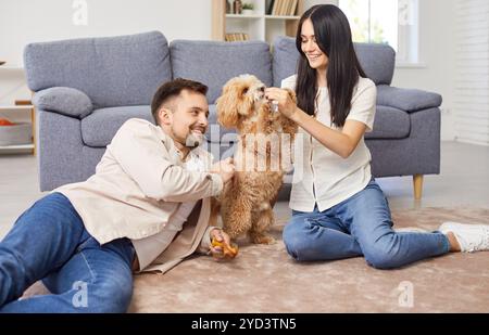 Glückliches junges Paar, das mit einem kleinen süßen Hund spielt, der zu Hause im Wohnzimmer sitzt. Stockfoto