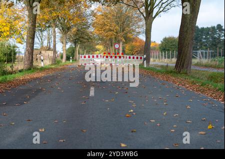 Asphalt, Baggerlader, Gebäude, Gebäude - Tätigkeit, Bau, Baustelle, Steuerung, Landstraße, Gefahr, Fahren, Fahrerbewusstsein, Technik, Stockfoto