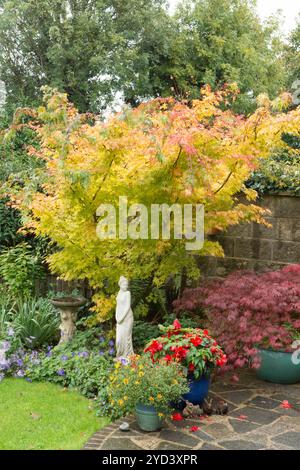 Acer Palmatum 'Sango-kaku' in einer Grenze mit Acer palmatum dissectum 'Garnet' im Topf, rote Begonien, Oktober Herbst Farbe, mit Statue einer hübschen Dame Stockfoto