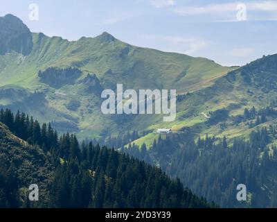 Haldensee, Österreich. August 2024. Blick auf die Gappenfeldscharte und obere Strindenalpe von der Skiarena Nesselwaengle im Sommer, wo sich Touristen und Einheimische zum Wandern, Mountainbiken und zum Entspannen im Urlaub am 22. August 2024 in Haldensee, Tirol, Österreich treffen. Fotograf: ddp Images/STAR-Images Credit: ddp Media GmbH/Alamy Live News Stockfoto