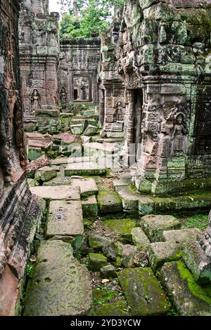 Preah Khan Tempel. Angkor Wat, Kambodscha Stockfoto