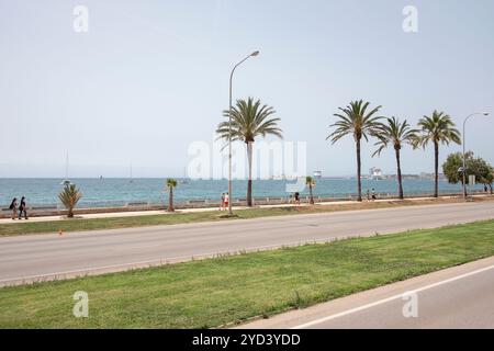 Blick auf die Straße auf Touristen, die gemütlich entlang der Strandpromenade mit hohen Palmen schlendern, mit Blick auf das Mittelmeer, Mallorca Stockfoto