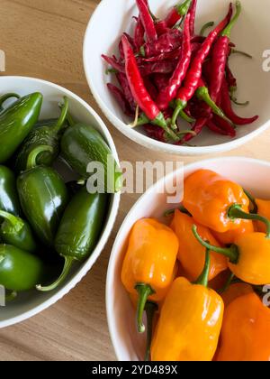 Frische Gartenernte mit verschiedenen scharfen Paprika Stockfoto