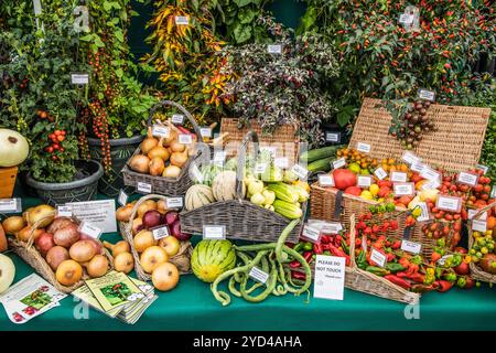 Eine prämierte Ausstellung von Obst und Gemüse auf der Malvern Autumn Show 2024. Stockfoto