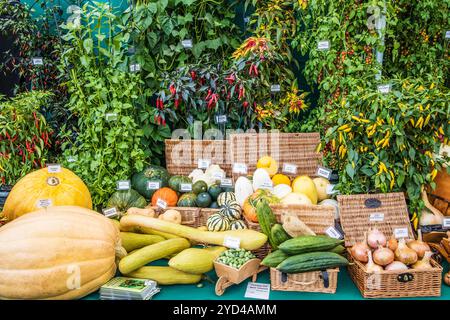 Eine prämierte Ausstellung von Obst und Gemüse auf der Malvern Autumn Show 2024. Stockfoto